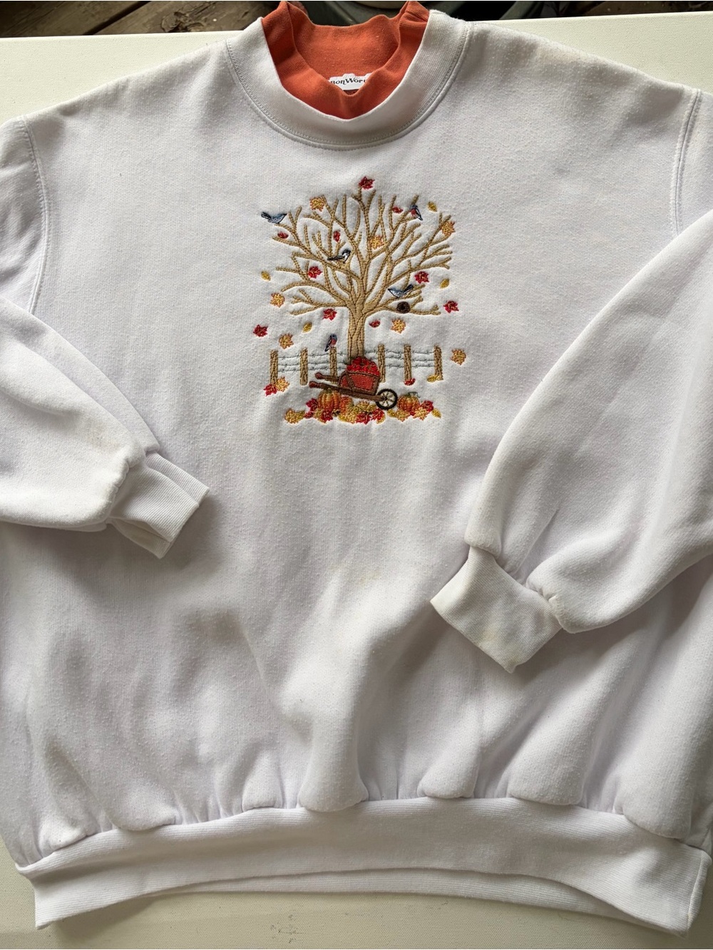 Vintage BonWorth Sweatshirt, Embroidered Crewneck Pullover, 1990s Double Collar